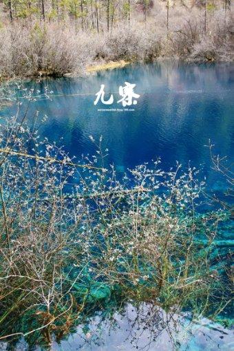 明星怀孕为何还那么美?产科专家:因为她们这样做