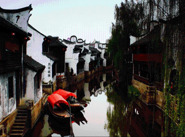 救援小孔雀